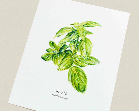 A botanical art print featuring a watercolor illustration of a green basil plant on a white background, with the word 'BASIL' and the subtitle 'Good Fortune • Love' printed below.