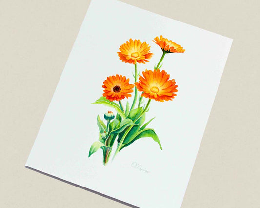 A botanical watercolor painting featuring three orange calendula flowers with green leaves on a white paper background, shown at an angle on a light beige surface.