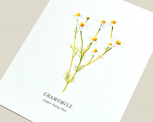 A square white card featuring a watercolor illustration of chamomile flowers with the text 'CHAMOMILE' and 'Comfort • Healing • Peace' printed below, photographed on a light beige surface.