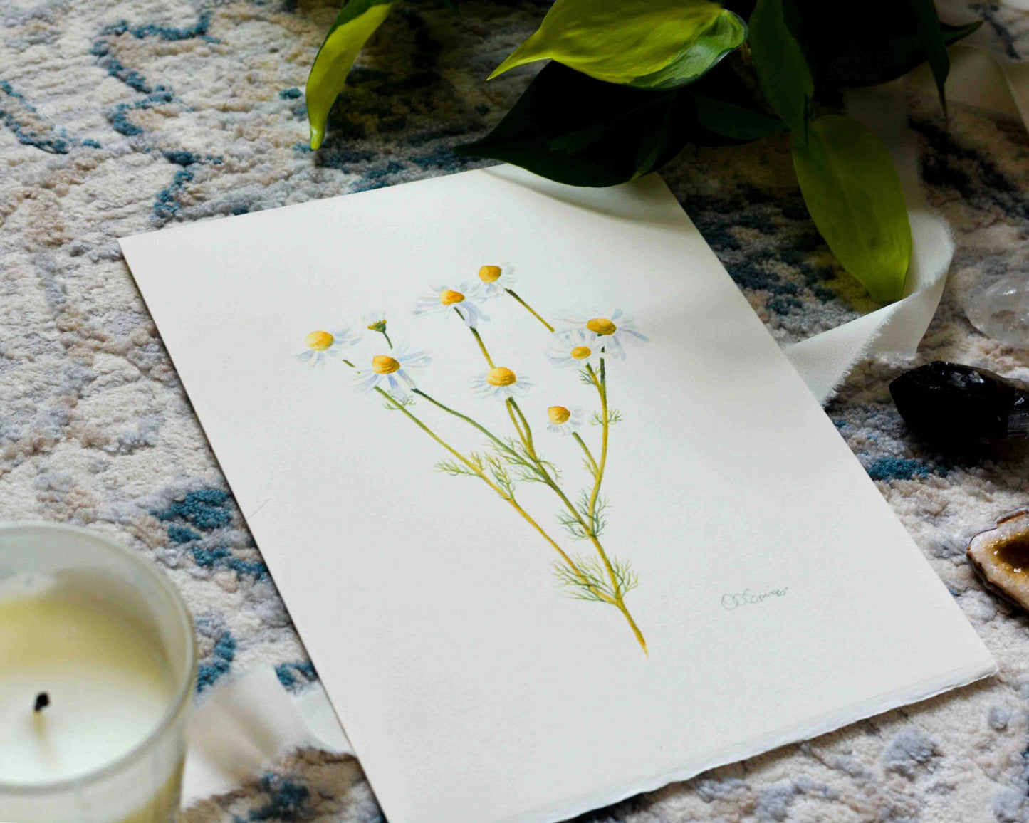 A botanical painting featuring a delicate watercolor of chamomile flowers with yellow centers and green stems, styled on a textured blue and white rug with a lit candle, green leaves, and crystals.