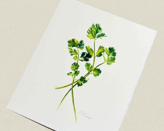 A watercolor painting featuring a watercolor illustration of green cilantro stems and leaves, photographed on a neutral beige background.