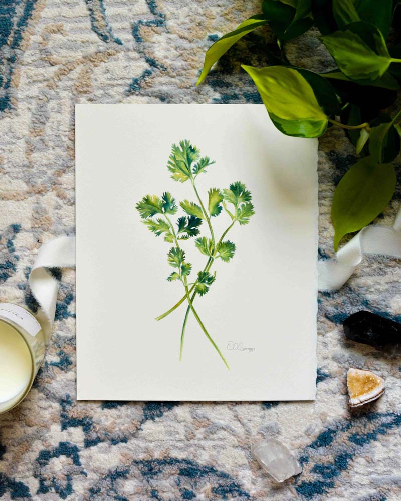 A watercolor painting featuring green cilantro stems on a white background, styled on a patterned rug with a candle, plant leaves, and crystals.