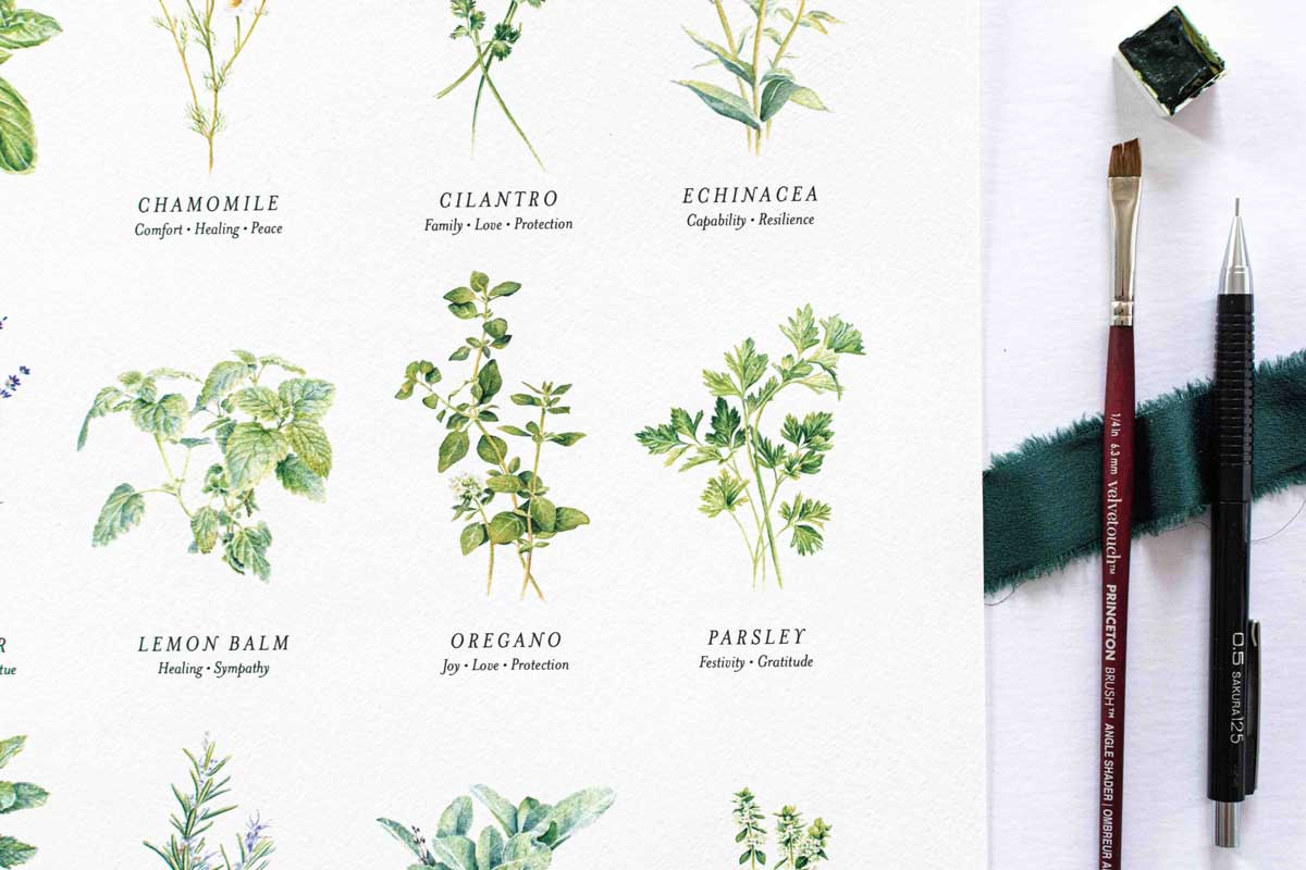 Herbal illustration with plant names and their symbolism, alongside art supplies on a white background.