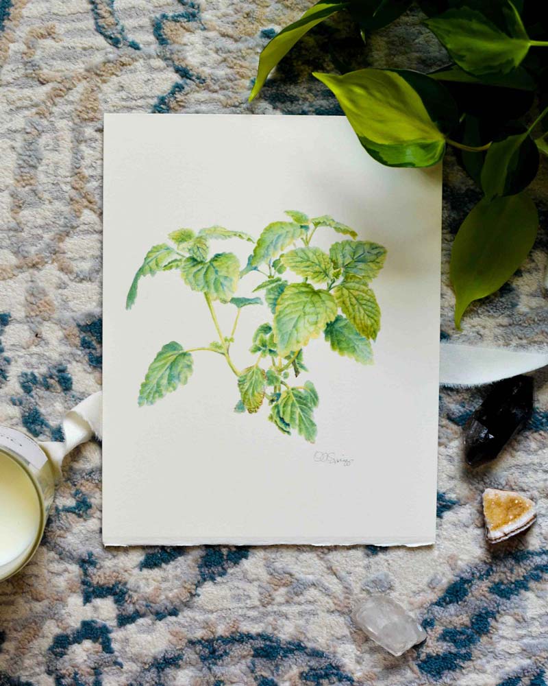 A botanical watercolor painting of green Lemon Balm leaves on a white cotton paper, styled on a textured blue and beige rug with green leaves, crystals, and a candle nearby.