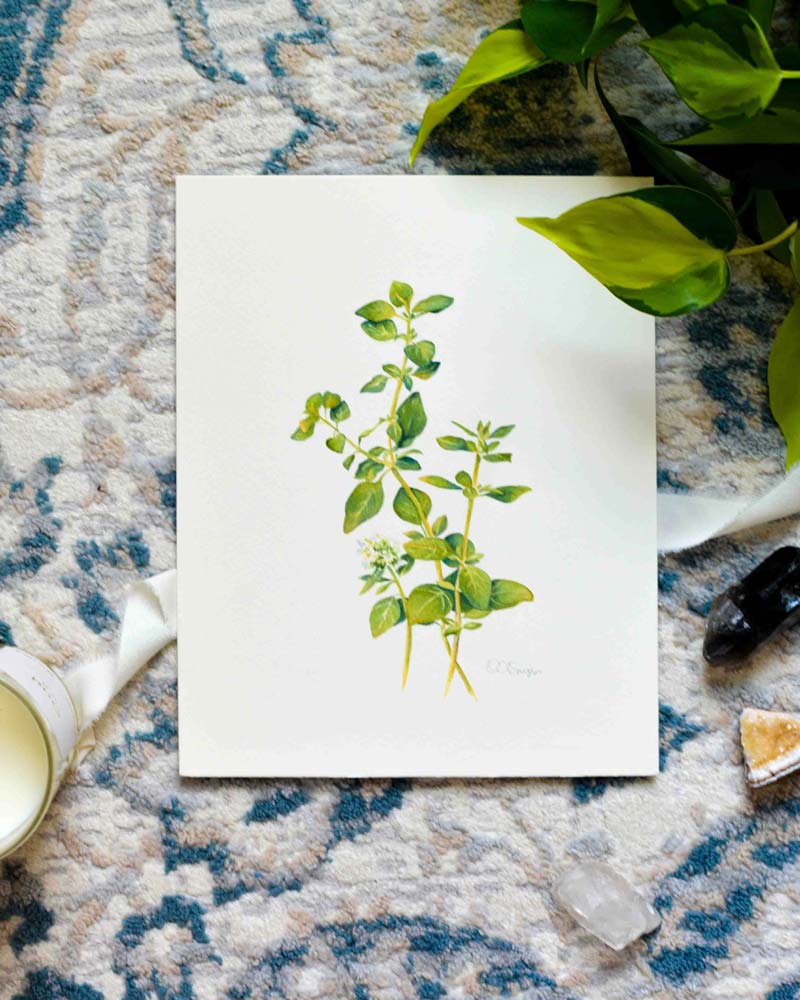 A watercolor painting of a green oregano herb sprig on white paper, styled in a flat lay on a blue and beige patterned rug with a plant, crystals, and a candle nearby.