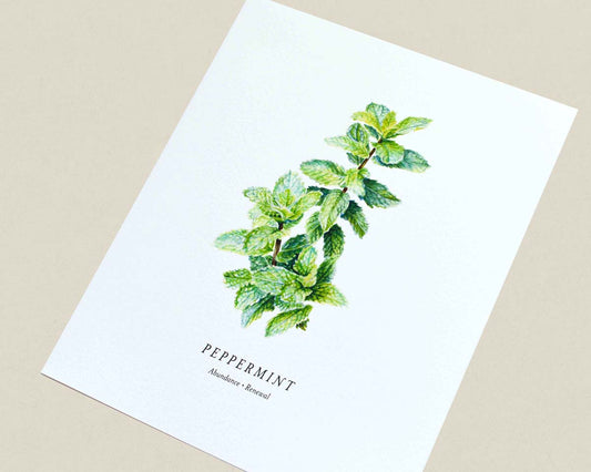 A white art print featuring a watercolor illustration of a green peppermint plant stem with the text 'PEPPERMINT' and 'Abundance | Renewal' printed below, displayed on a neutral beige background.