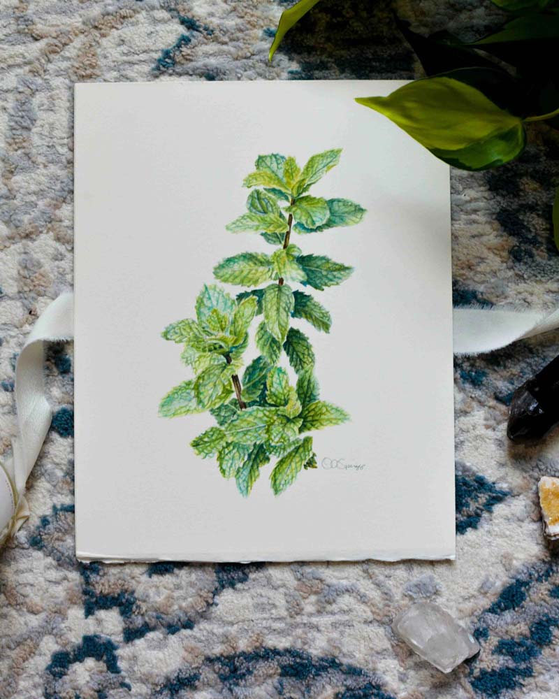 An original watercolor painting featuring a green mint leaf sprig on a white sheet of paper, styled on a textured gray and blue patterned rug with decorative props.