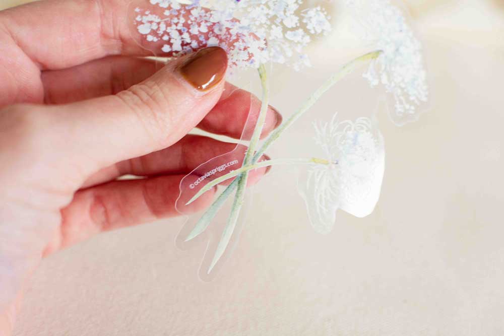 Hand holding Queen Anne's Lace sticker up against a beige background showing its transparency and stem details.