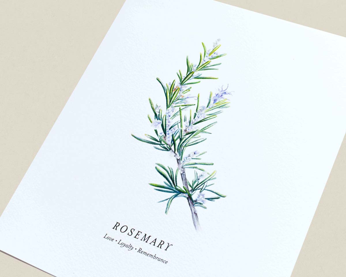 A white art print featuring a watercolor illustration of a rosemary sprig with small purple flowers, and the word 'ROSEMARY' with the phrase 'Love • Loyalty • Remembrance' printed below, photographed on a beige surface.