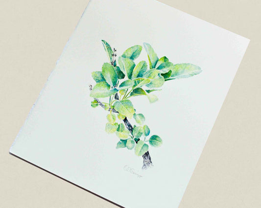 An original watercolor painting of a green sage branch, photographed at an angle on a neutral beige background.
