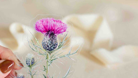 Closeup of a pink thistle blossom sticker with transparent edges against a beige background.
