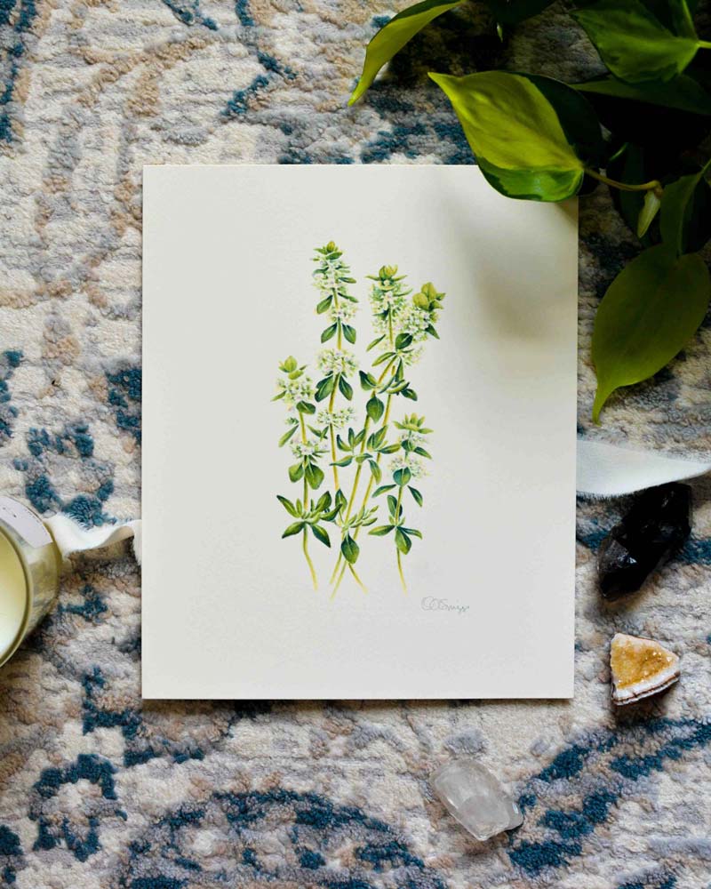 A botanical watercolor painting of green thyme herb sprigs on a white background, styled on a blue and beige patterned rug with green leaves, crystals, and a candle nearby.