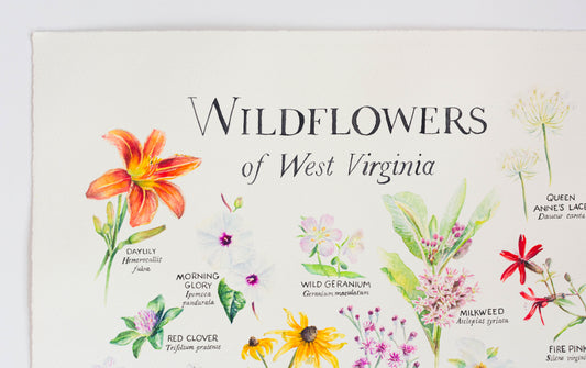 Wildflowers of West Virginia Original Painting