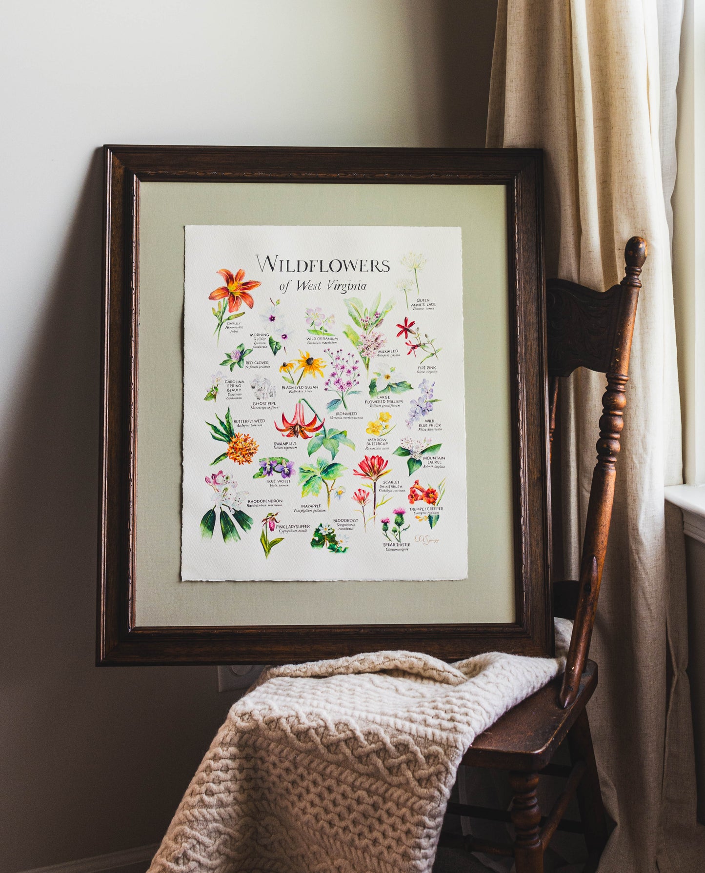Framed painting of West Virginia wildflowers posed on a blanket and antique chair