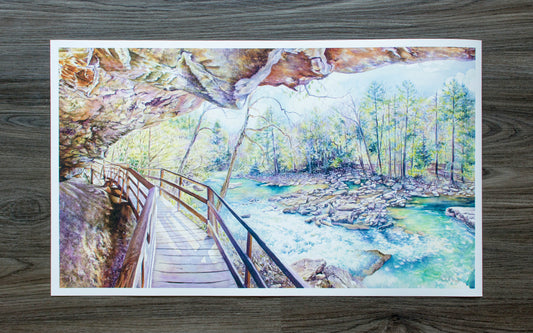 27" x 16" Print of Audra State Park