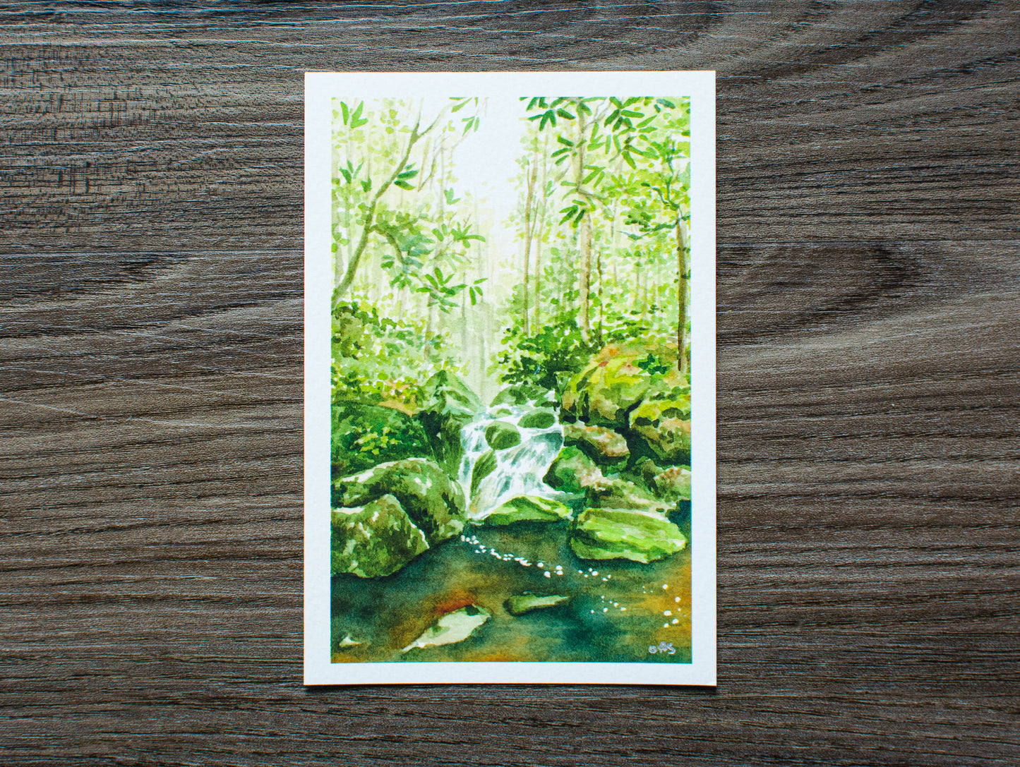 6" x 4" print of Otter Creek Wilderness