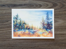 Load image into Gallery viewer, 7&quot; x 5&quot; Print of Dolly Sods Bog in Autumn
