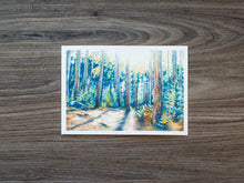 Load image into Gallery viewer, 7 x 5 Print of Dolly Sods Forest Shadow
