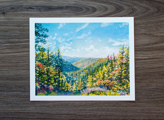 10" x 8" Print of Overlook at Blackwater Falls State Park