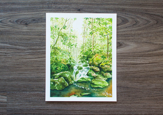 8" x 10" print of Otter Creek Wilderness