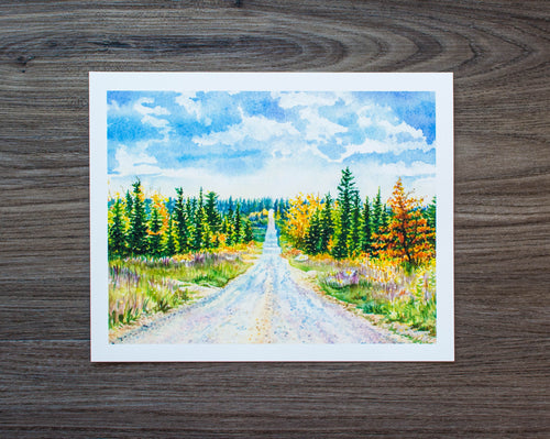 10 x 8 Print of Dolly Sods Roadway