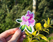 Load image into Gallery viewer, Pink Rhododendron sticker being held in hand

