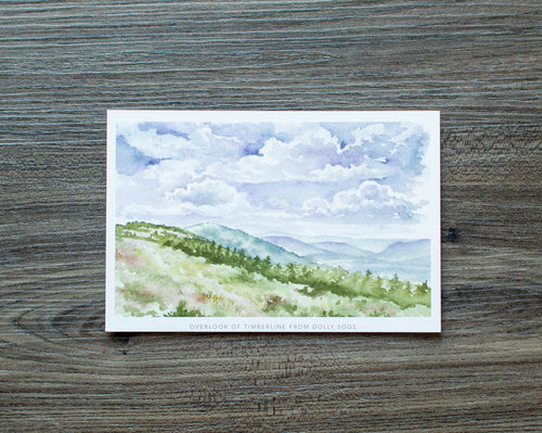 Overlook of Timberline From Dolly Sods Postcard