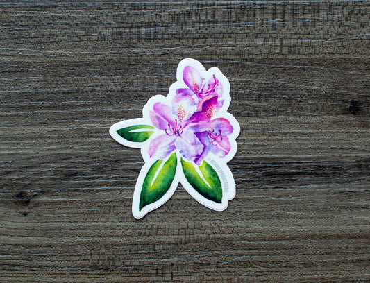 Pink Rhododendron sticker