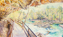 Load image into Gallery viewer, Detail crop of Audra State Park painting
