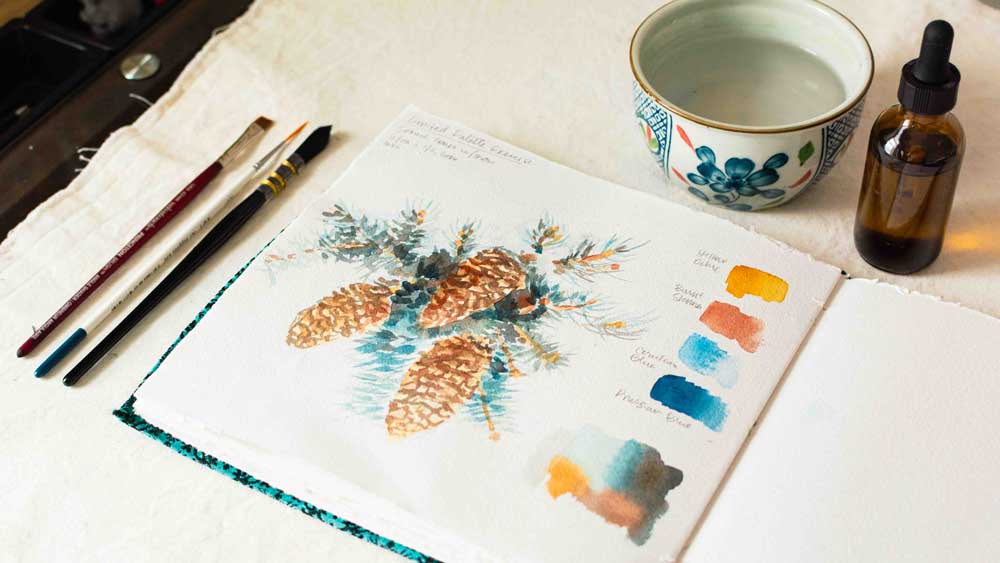 Watercolor painting of spruce cones in the snow in a sketchbook with paintbrushes.