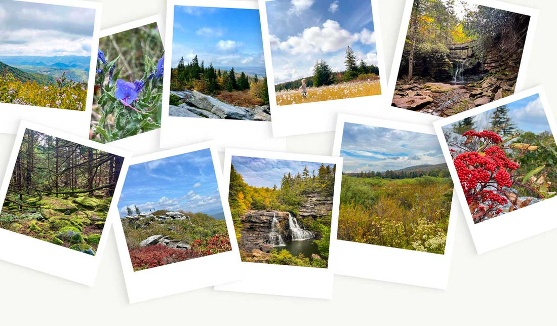 Notes from the Studio: October 2025