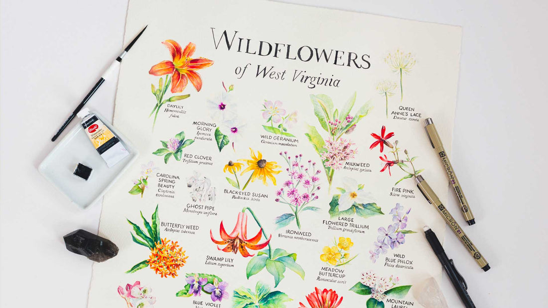 Painting featuring a variety of colorful West Virginia Wildflowers with paints, pens and brushes