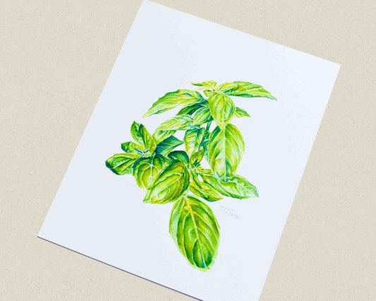 Painting of a basil sprig at an angle
