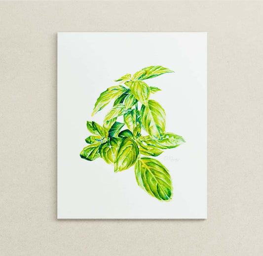 Painting of a basil sprig