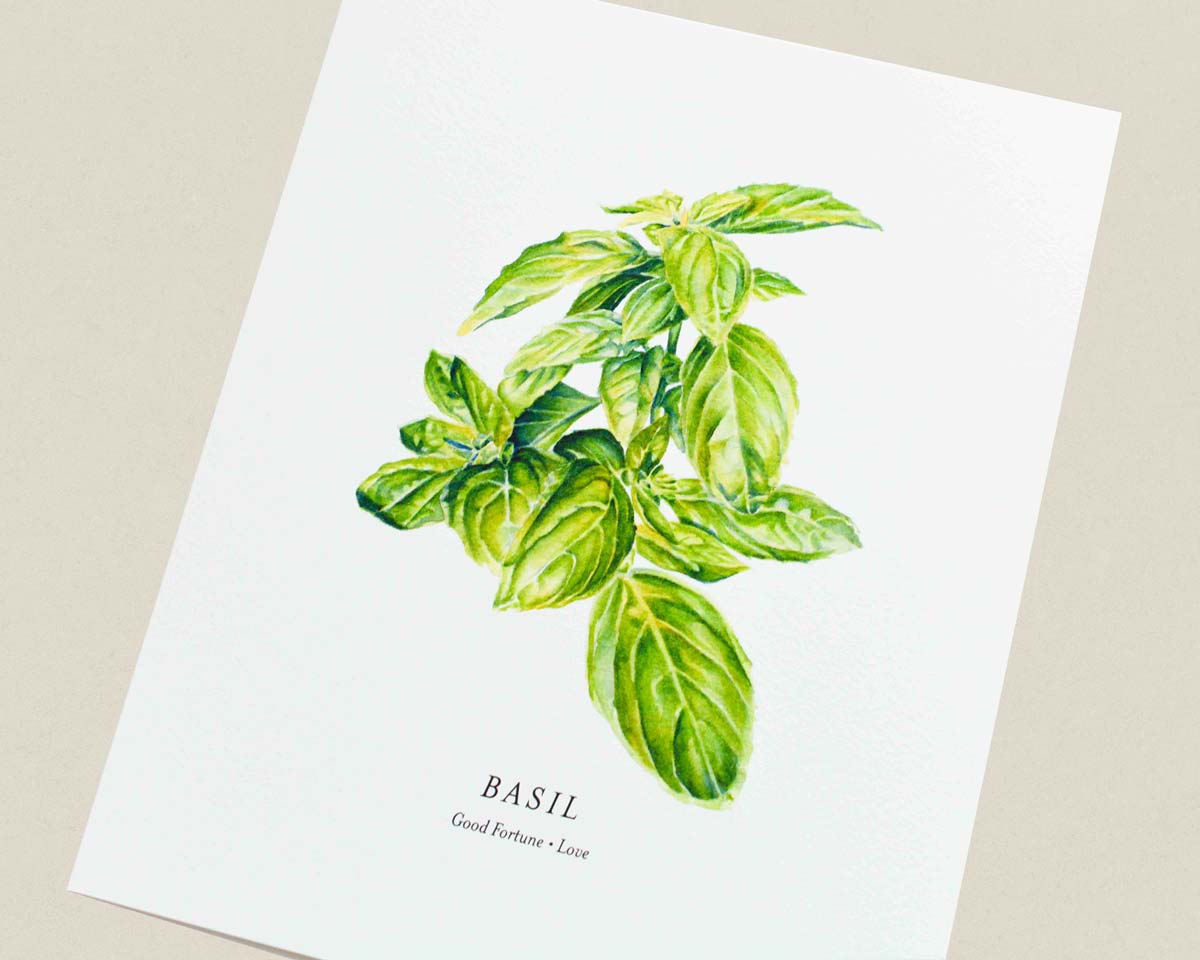A botanical art print featuring a watercolor illustration of a green basil plant on a white background, with the word 'BASIL' and the subtitle 'Good Fortune • Love' printed below.
