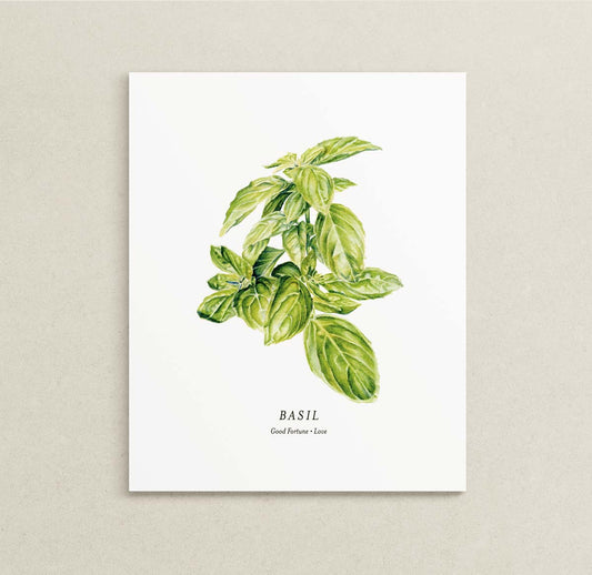A botanical art print of a green basil plant on a white background, with the word 'BASIL' and 'Good Fortune - Love' printed below, displayed against a textured light beige wall.