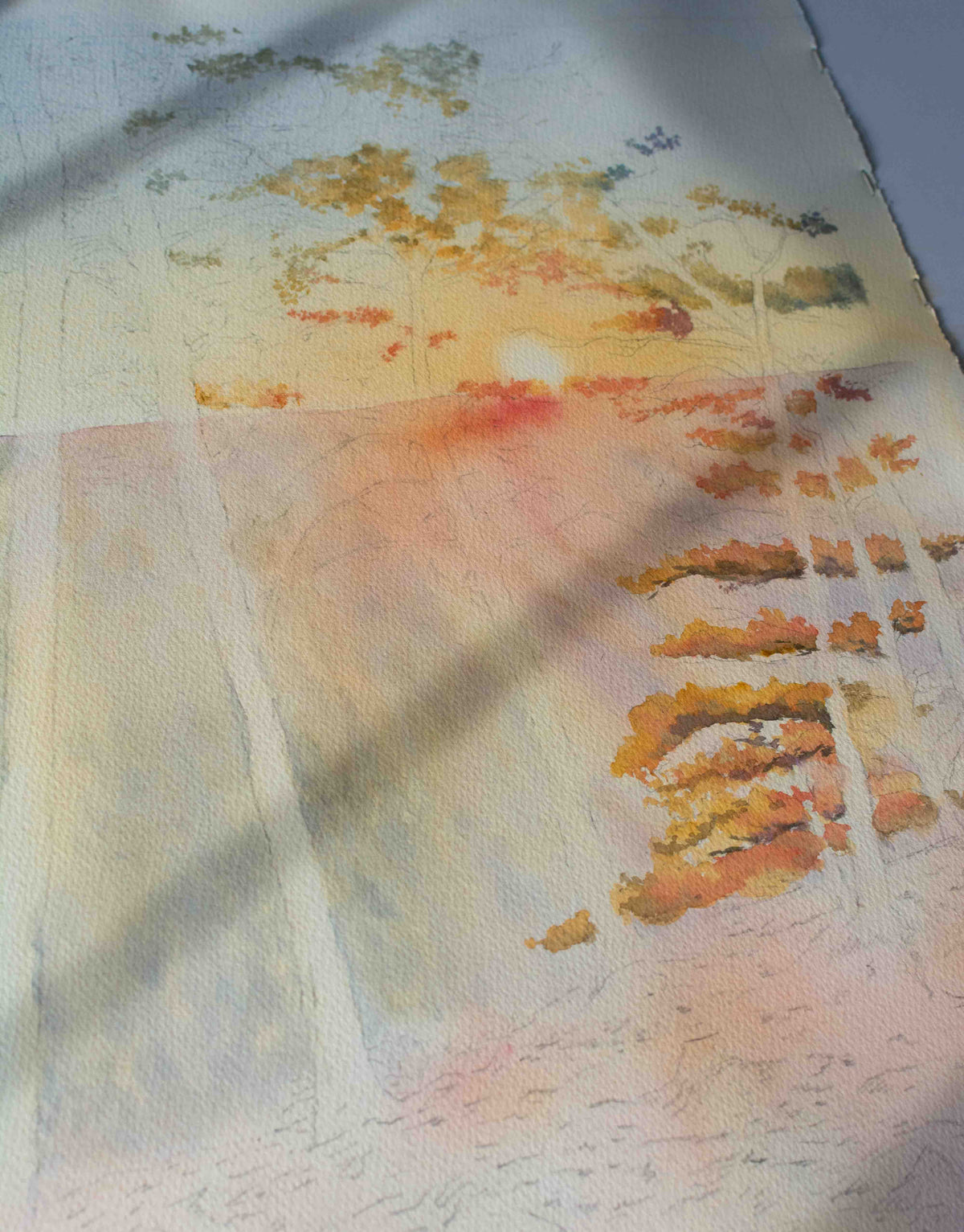 Work in progress watercolor painting of a sunset and trees.