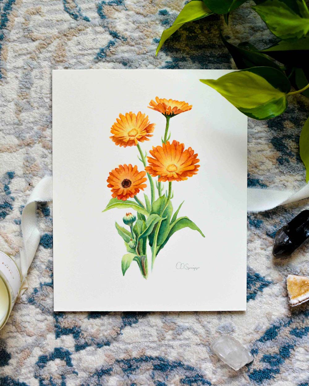 A botanical watercolor painting featuring four orange calendula flowers with green leaves on a white background, styled on a blue and beige patterned rug with green leaves and crystals around it.