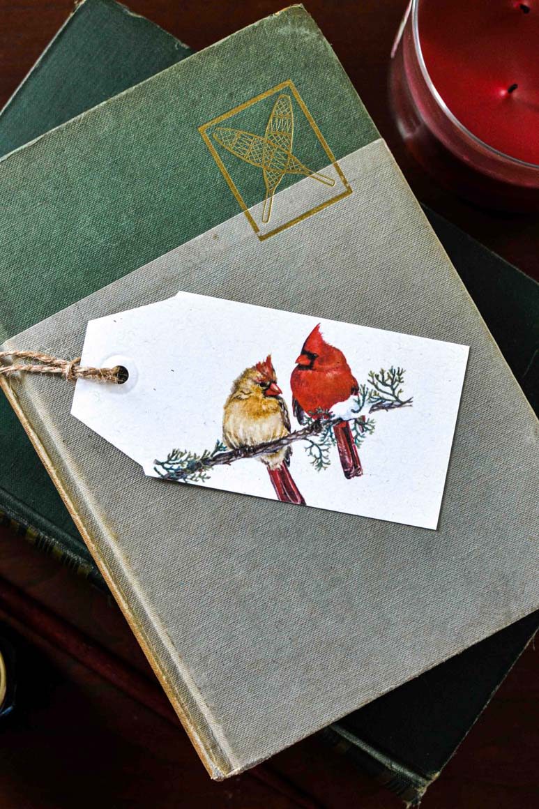A white paper gift tag with a twine loop, printed with an illustration of a yellow female cardinal and a red male cardinal perched on a branch, placed on top of a gray fabric-covered book. An older green book is visible underneath, along with a red candle in the background.