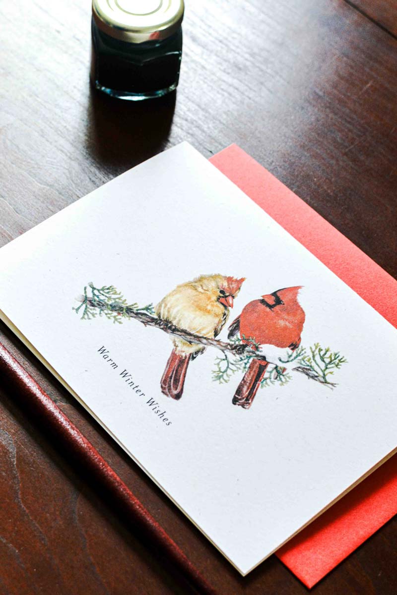 A square greeting card with a watercolor illustration of two cardinals perched on a branch, with the text 'Warm Winter Wishes,' placed on a dark wooden table with a coral envelope and a small bottle in the background.