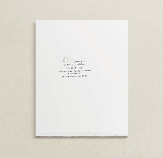 A white sheet of paper with handwritten black ink text centered on a light beige textured background.