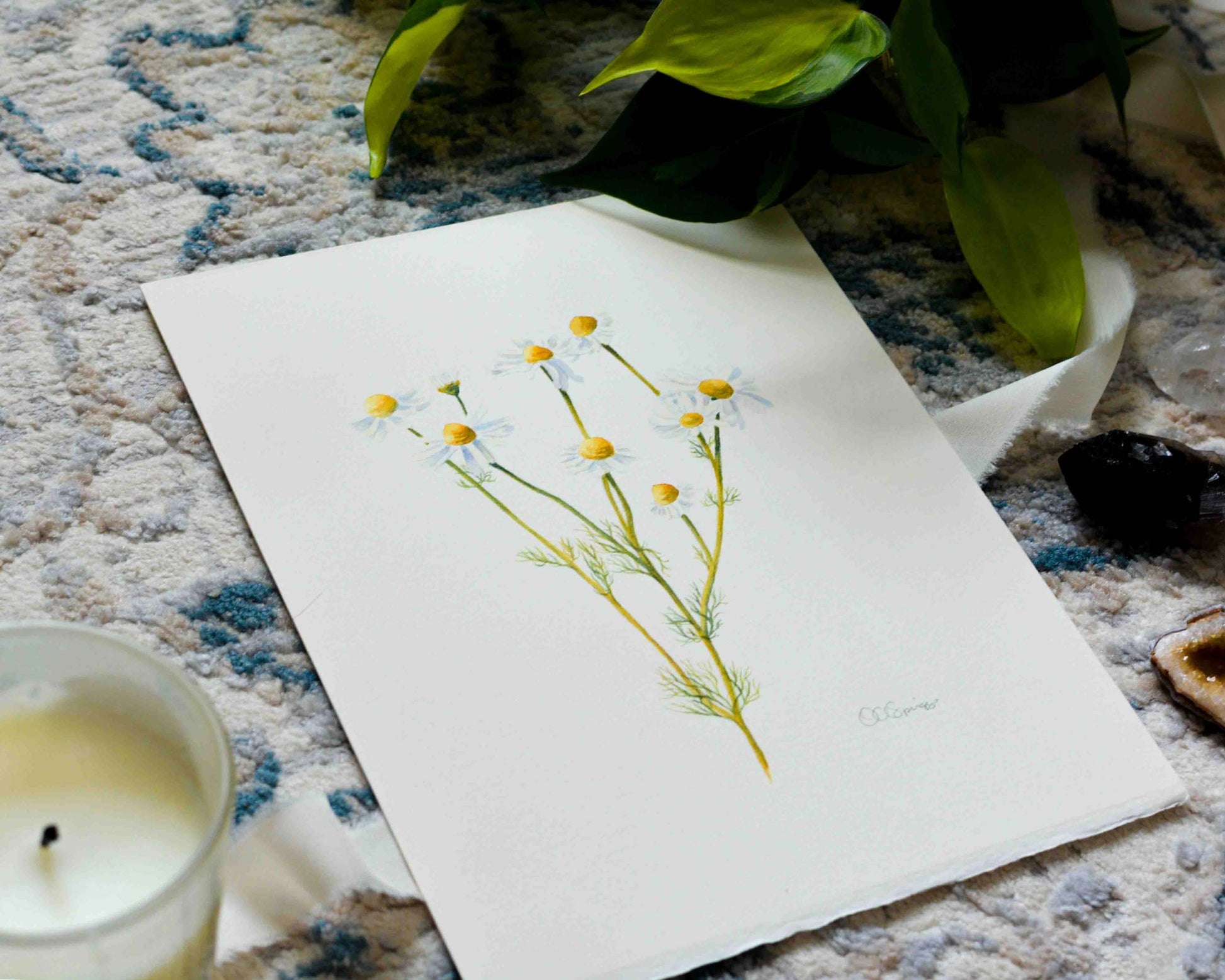 A botanical painting featuring a delicate watercolor of chamomile flowers with yellow centers and green stems, styled on a textured blue and white rug with a lit candle, green leaves, and crystals.
