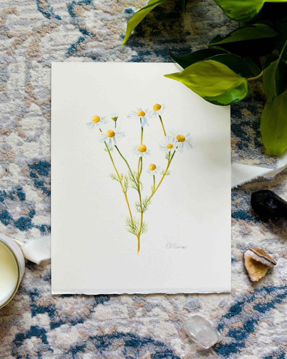 A botanical painting of chamomile flowers on textured white paper, styled flat-lay on a blue and beige patterned rug with green leaves, crystals, and a candle.
