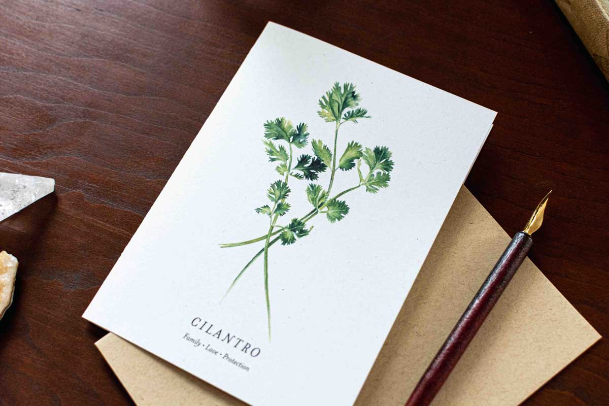 Card with a cilantro illustration on a wooden desk with a pen.