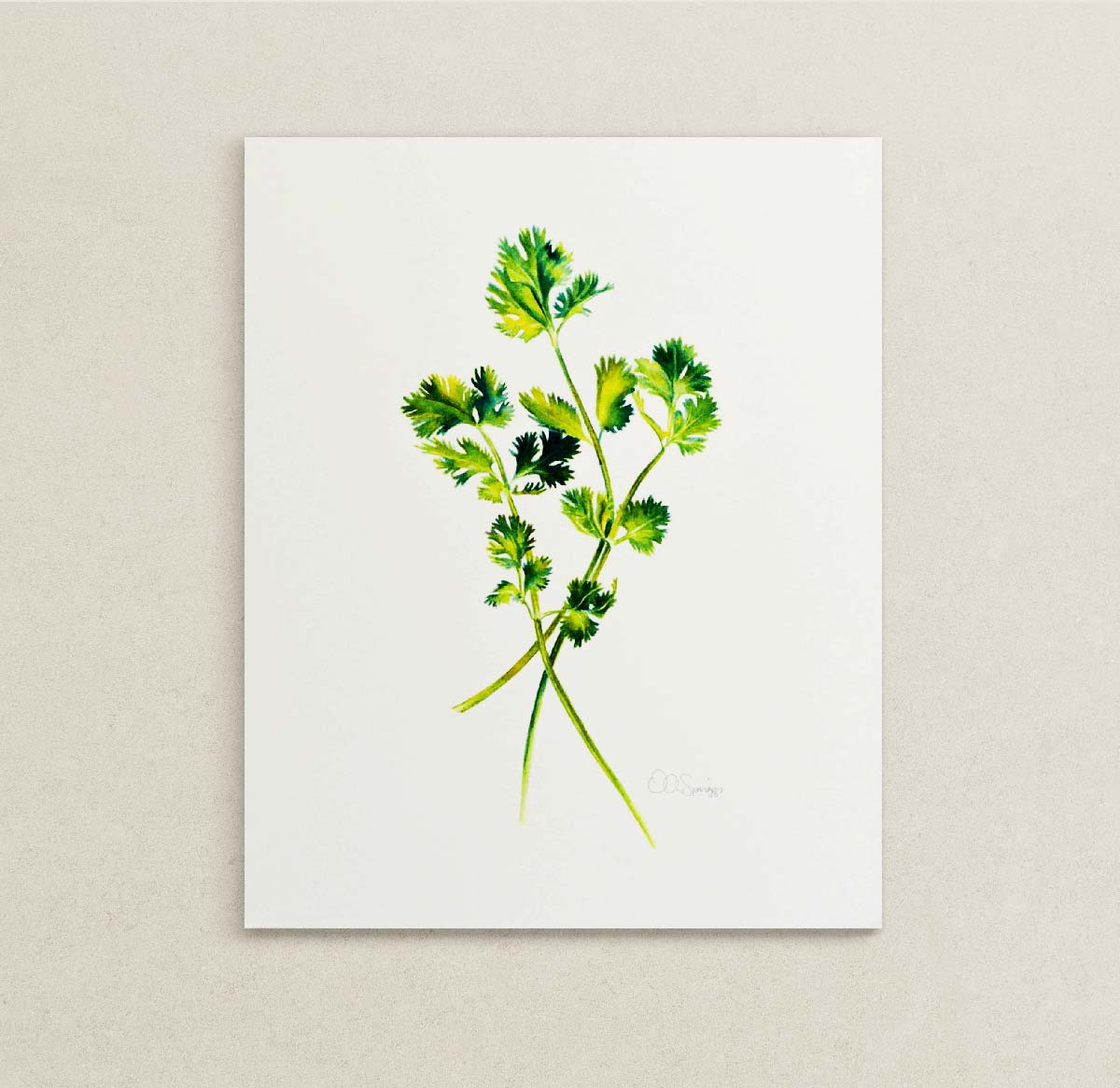 A vertical watercolor painting print featuring green cilantro stems and leaves, displayed against a neutral beige textured wall.