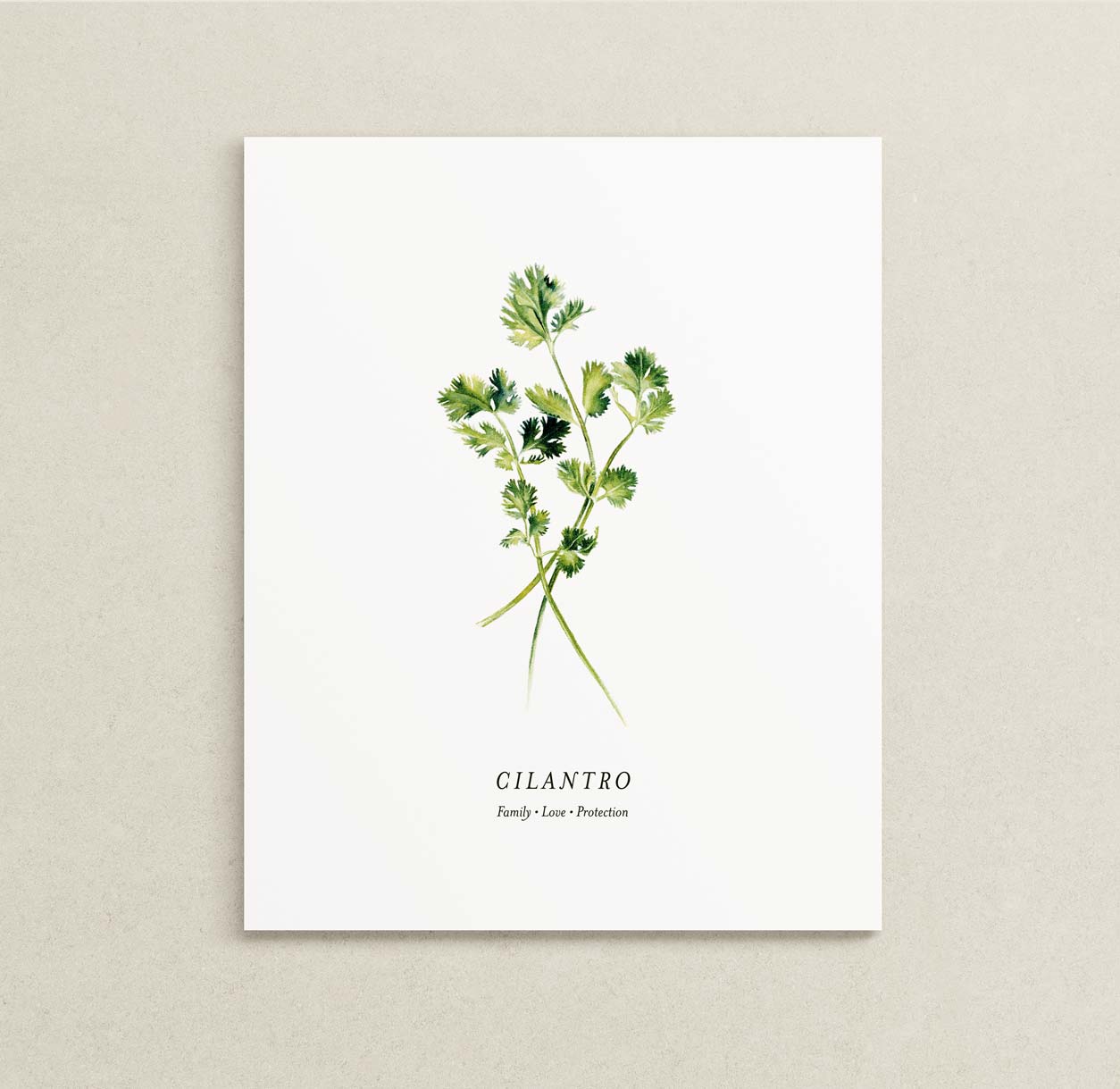 A botanical art print featuring a watercolor illustration of a cilantro herb sprig on a white background, with the word 'CILANTRO' and 'Family - Love - Protection' printed below in black. The print is displayed against a neutral, textured light beige wall.
