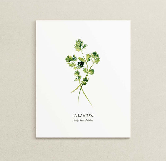 A botanical art print featuring a watercolor illustration of a cilantro herb sprig on a white background, with the word 'CILANTRO' and 'Family - Love - Protection' printed below in black. The print is displayed against a neutral, textured light beige wall.