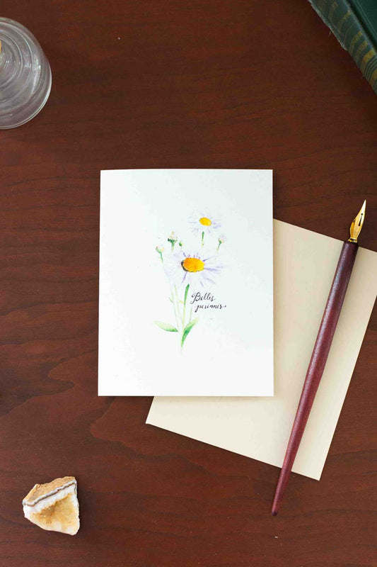 Greeting card with floral Daisy design on a wooden surface with a pen and shell.