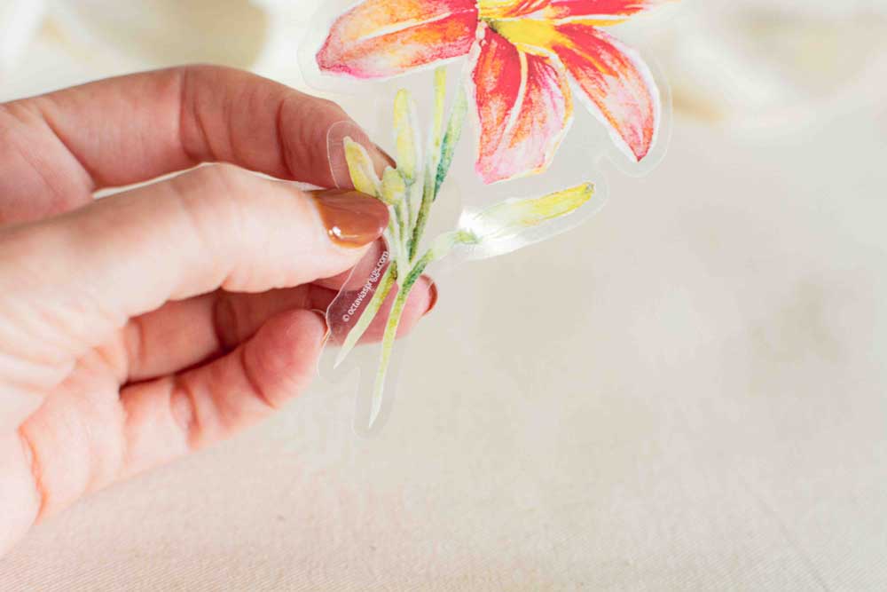 Hand holding a clear vinyl sticker against a beige fabric background to stem details and its transparency. 