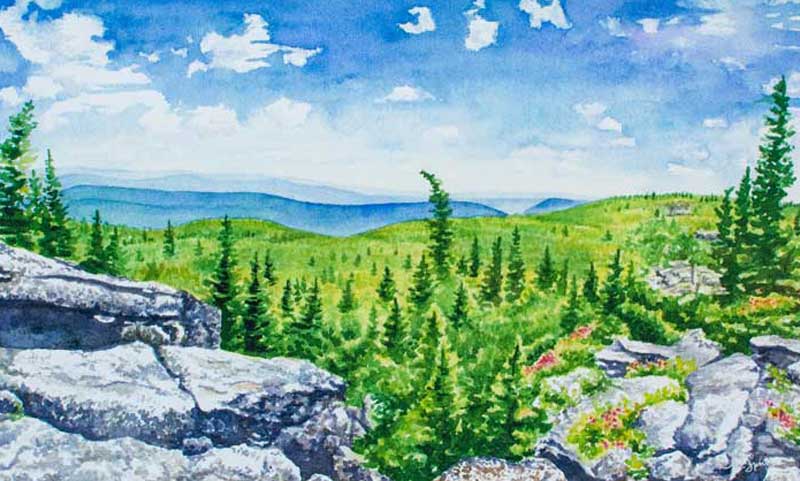 Scenic landscape of Dolly Sods with green hills, trees, and a blue sky.